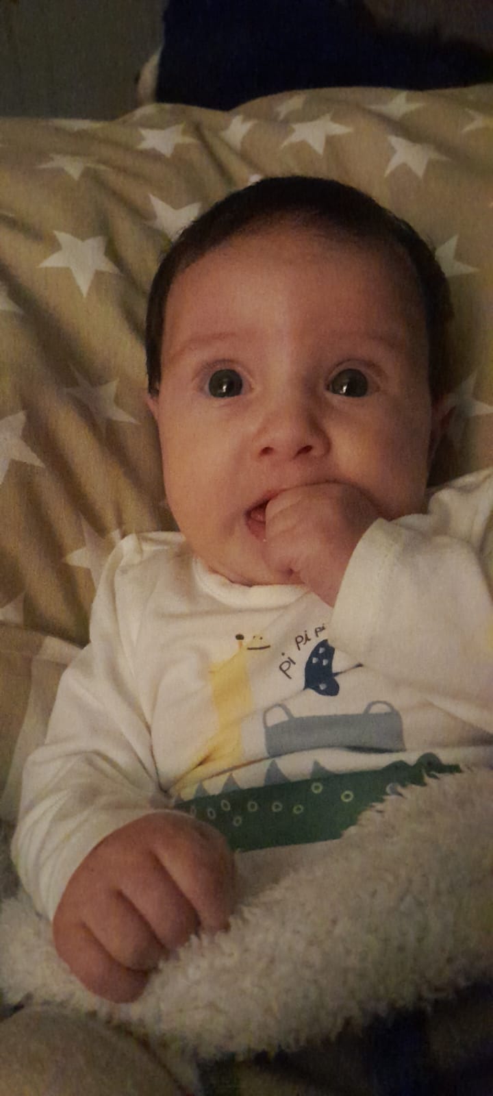 WhatsApp Image 2024-10-18 at 00.05.24.jpeg